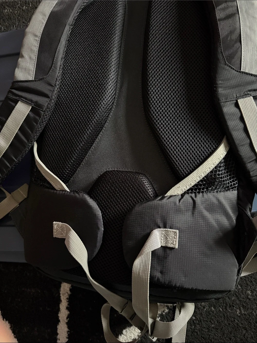 Eddie Bauer versatile eddie
